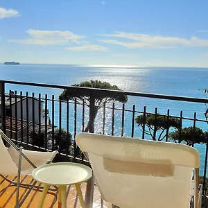 Fiori Sul Mare , Tellaro Italia